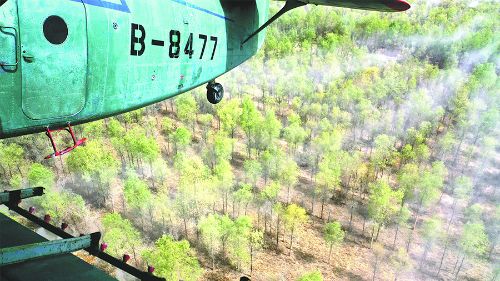 4月14日，一架農用飛機在第一師10團防風林帶上空噴灑殺蟲劑。自4月上旬以來，兵團對葉爾羌河、塔里木河流域的第一師、第二師和第三師的35萬畝野生胡楊林和人工林實施飛防，有效控制食葉害蟲對野生胡楊林和人工林的危害。 王志清攝